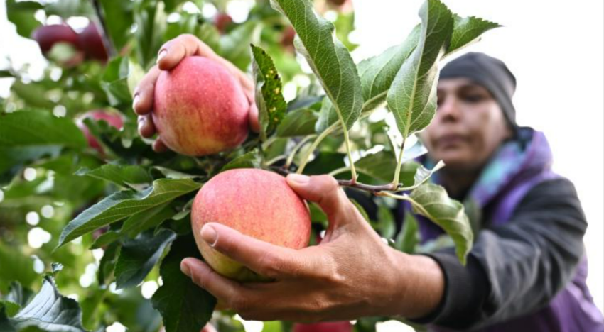 Rentnerin ertrinkt in Regentonne! Tragischer Todesfall - Rentnerin stürzt kopfüber in Regentonne
